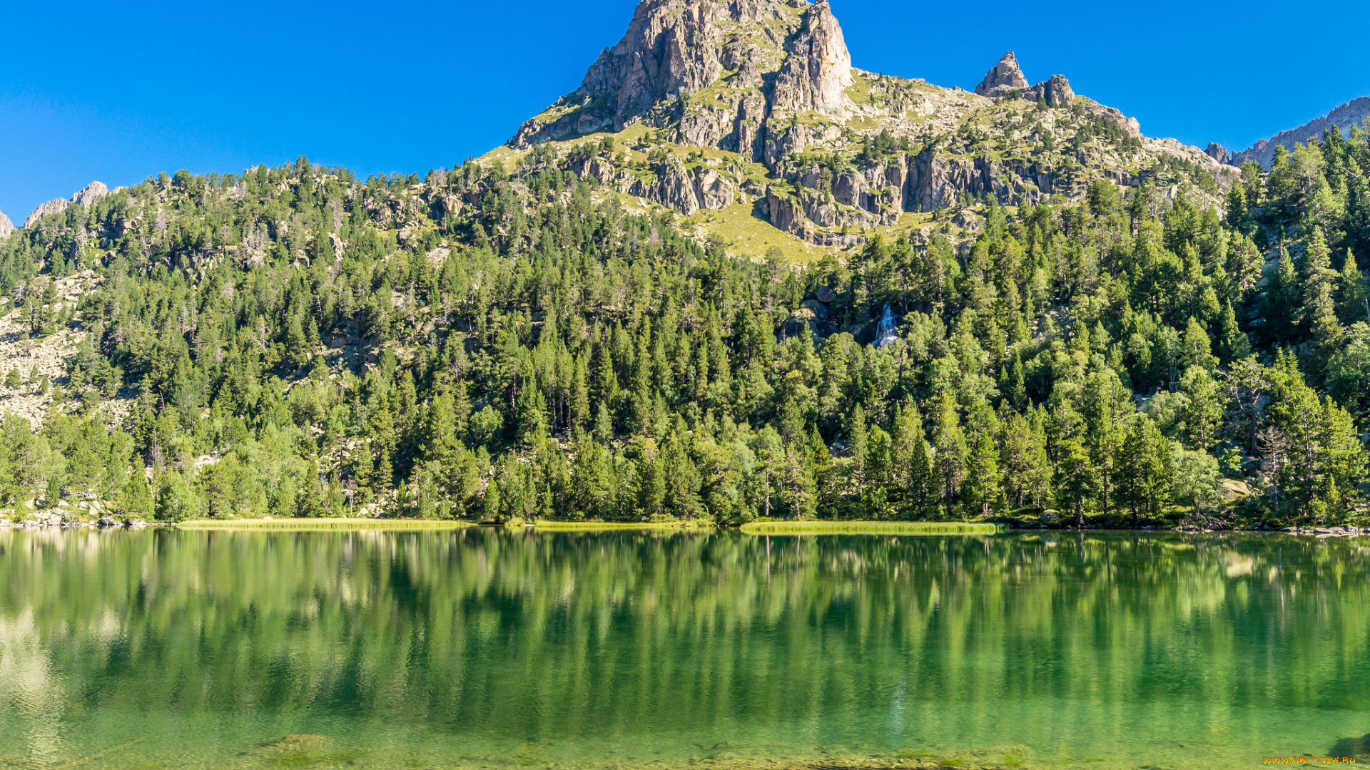 природа, реки, озера, река, лес