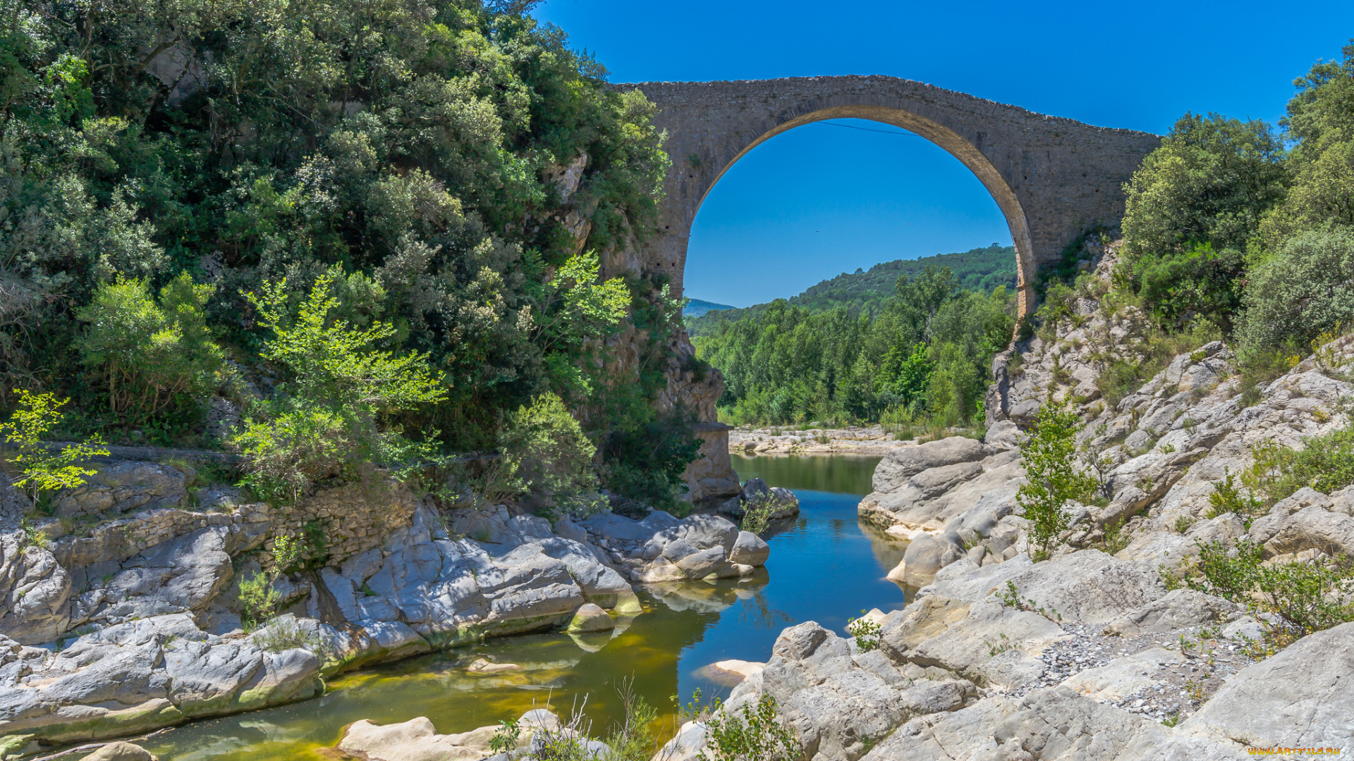 природа, реки, озера, река, лес