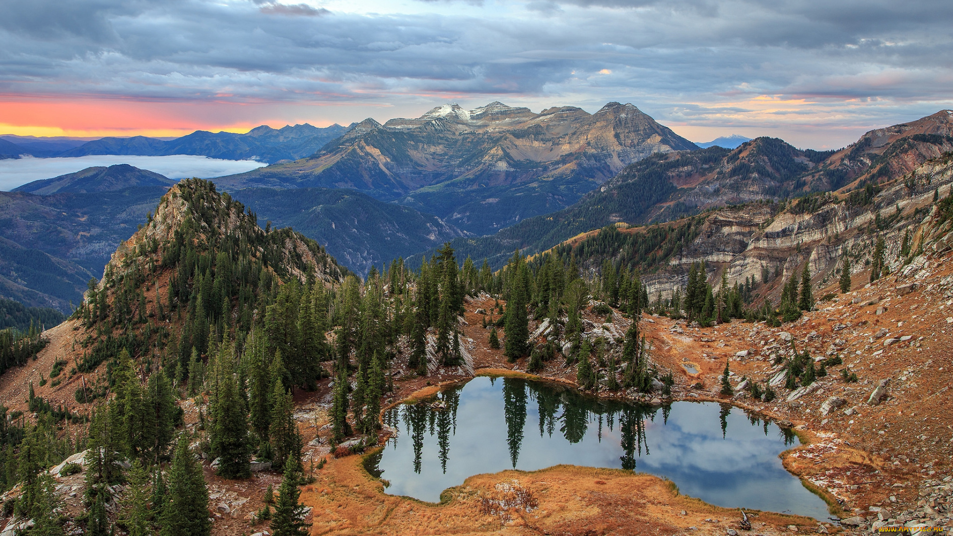 природа, реки, озера, река, лес