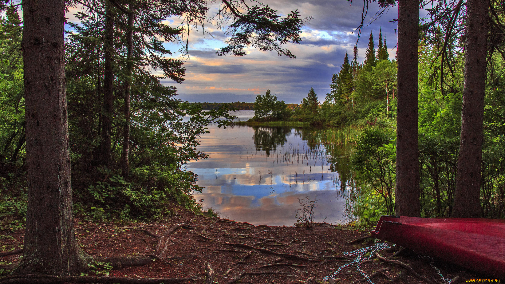 природа, реки, озера, река, лес