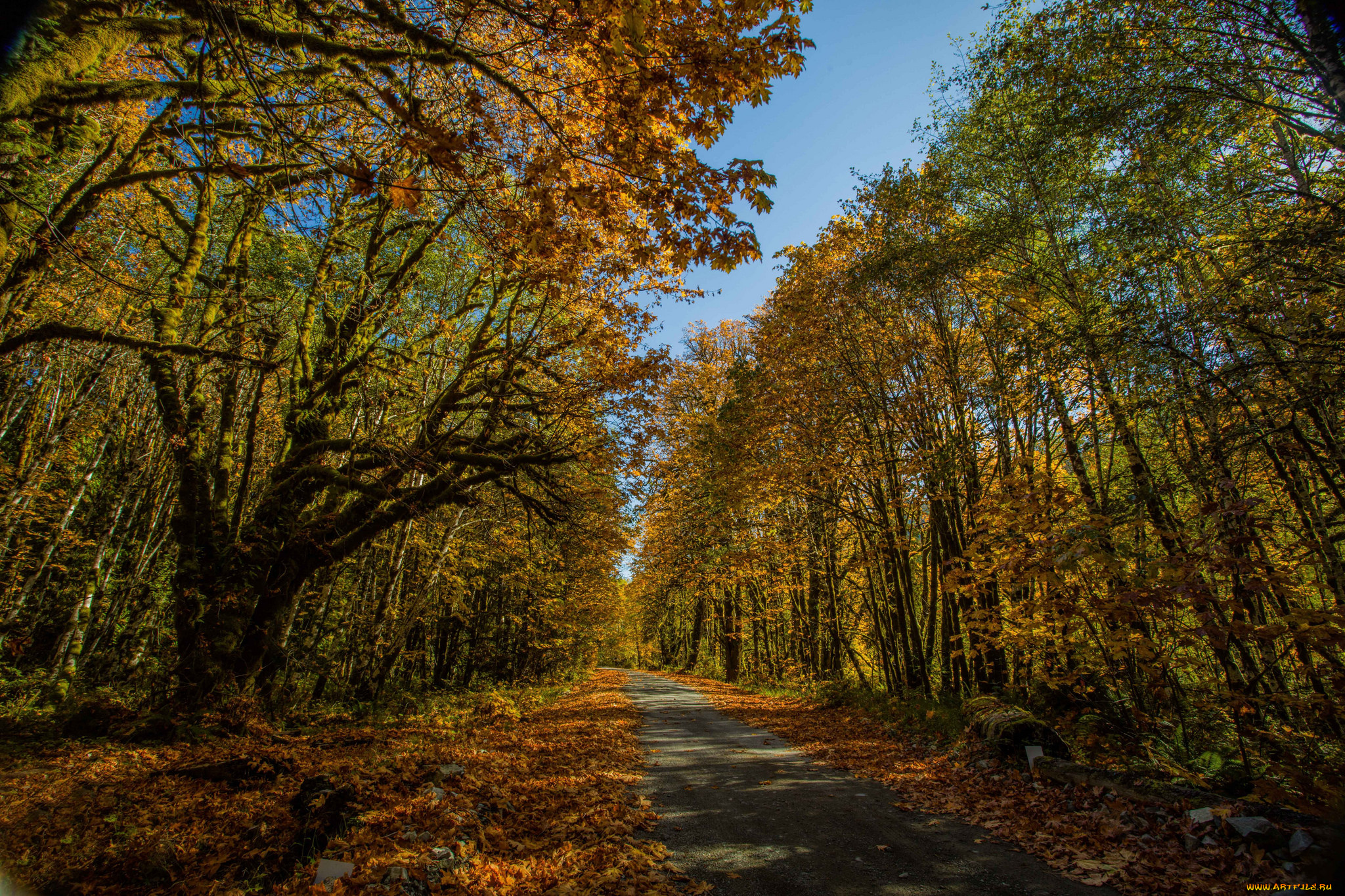 природа, дороги, тракт