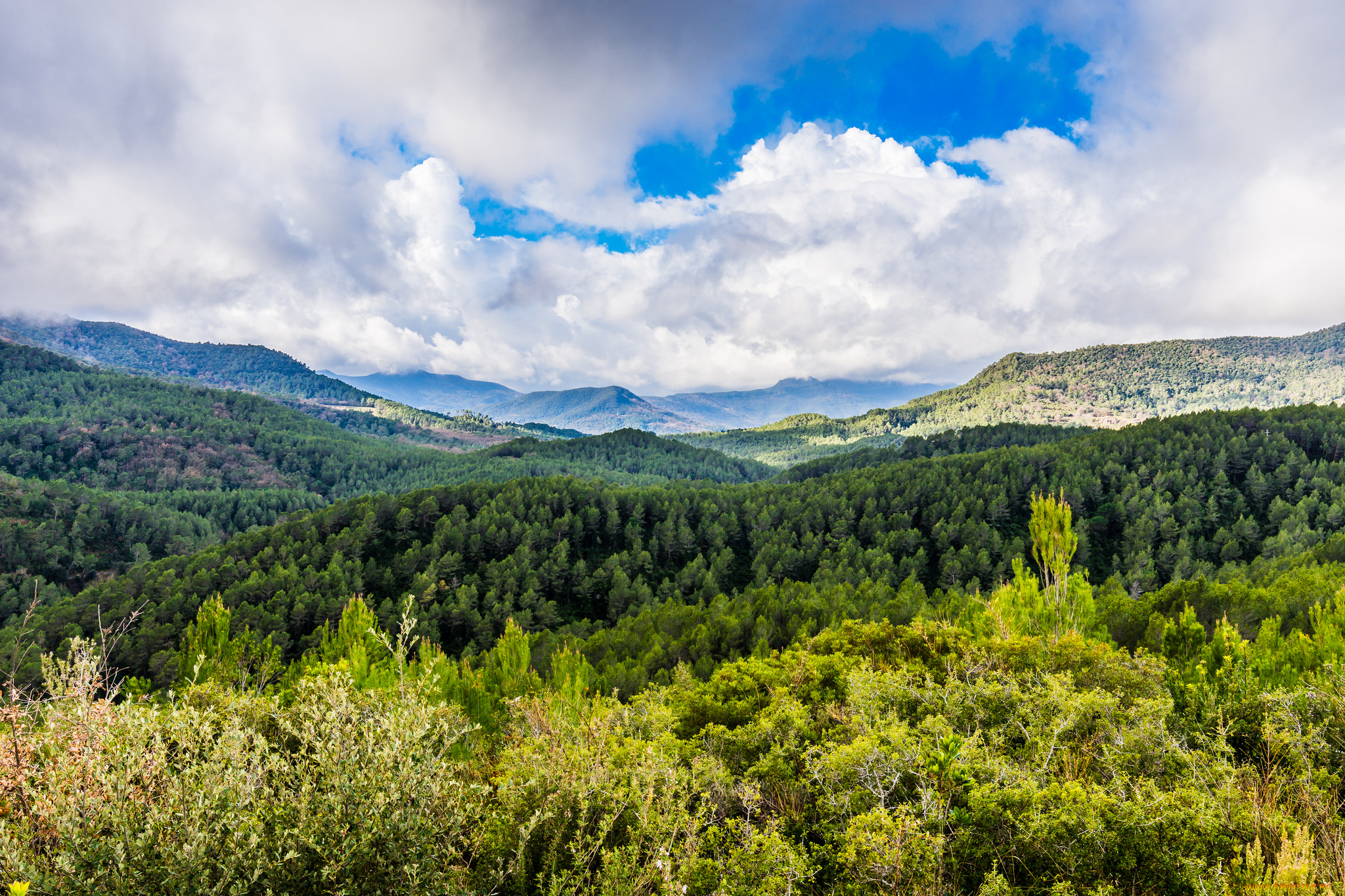 природа, пейзажи, простор