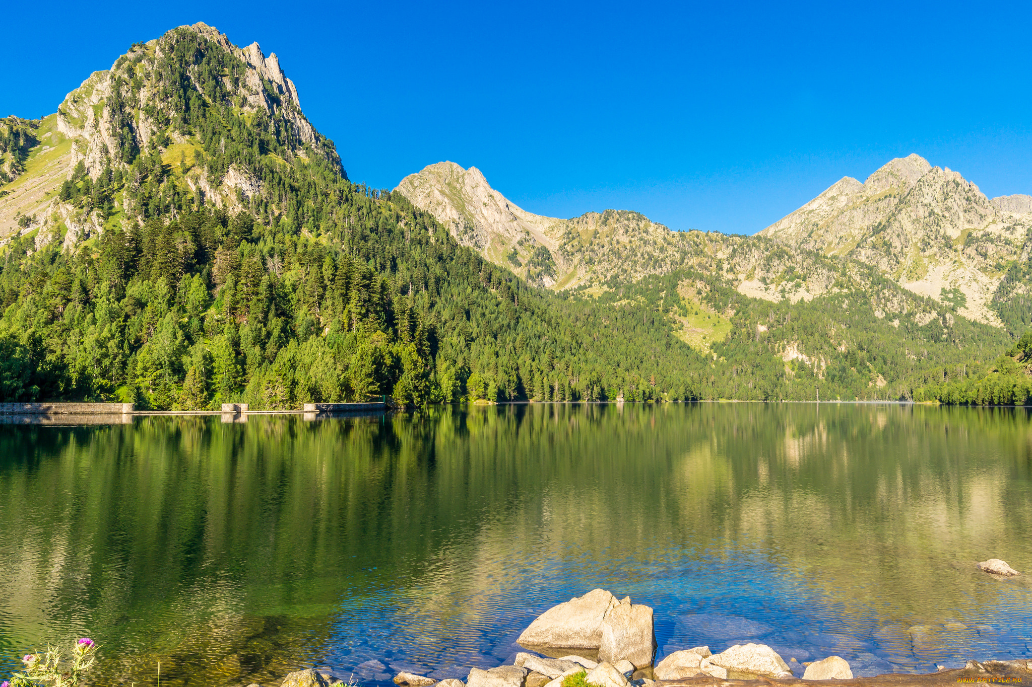 природа, реки, озера, лес, река