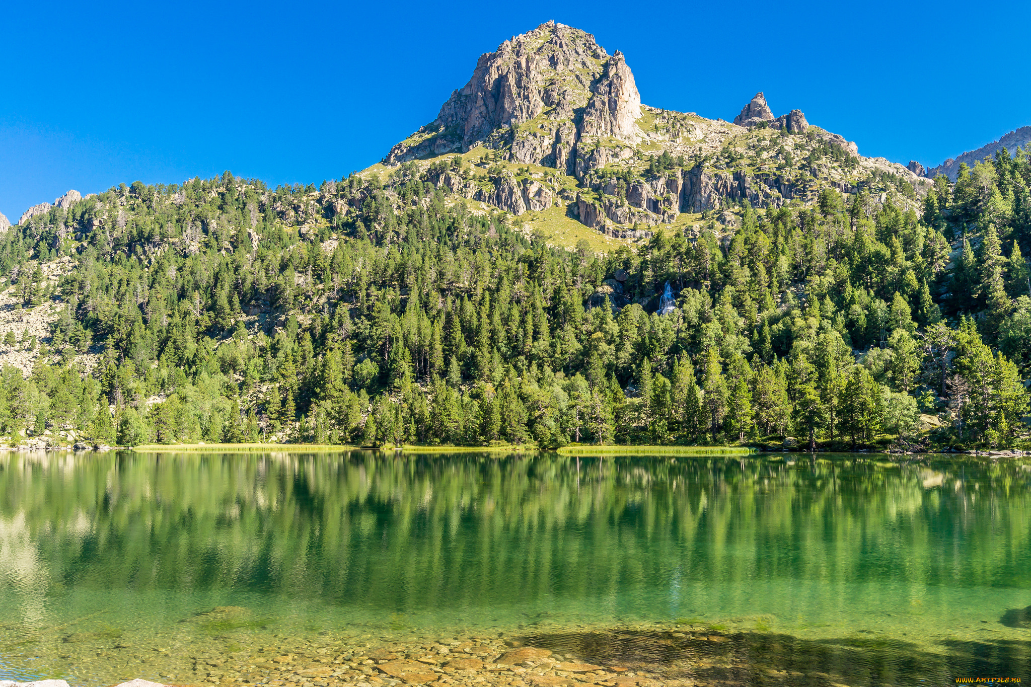 природа, реки, озера, река, лес