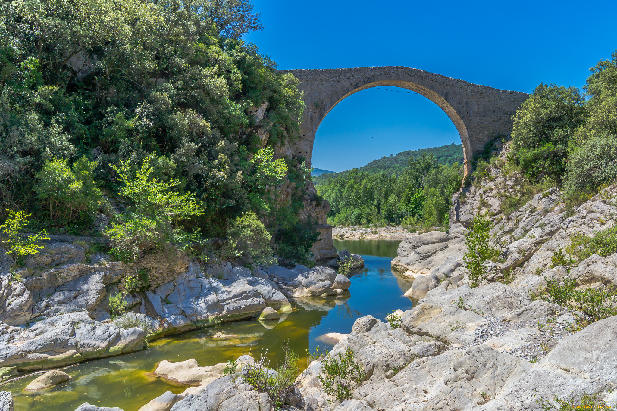 природа, реки, озера, река, лес