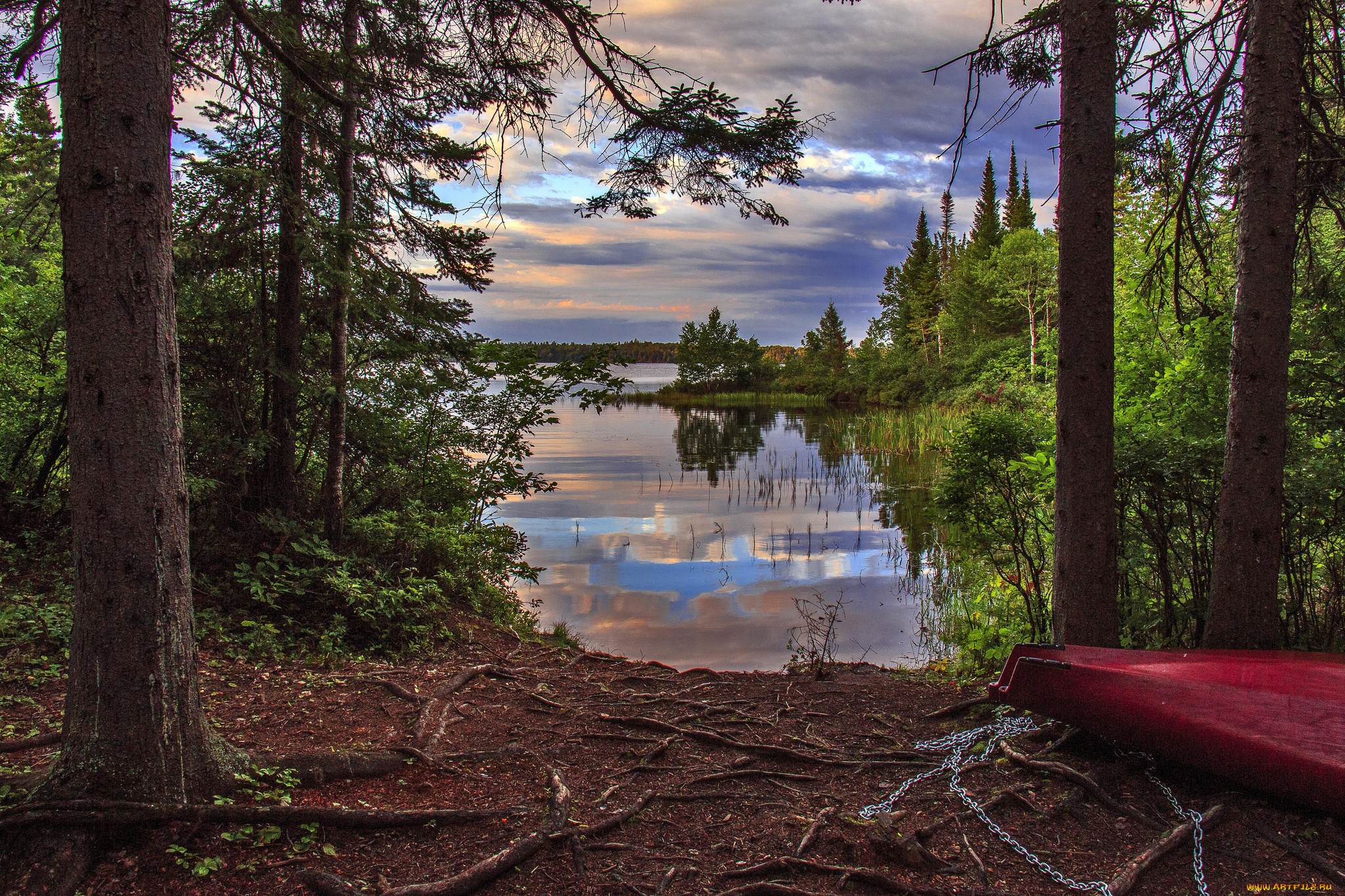 природа, реки, озера, река, лес