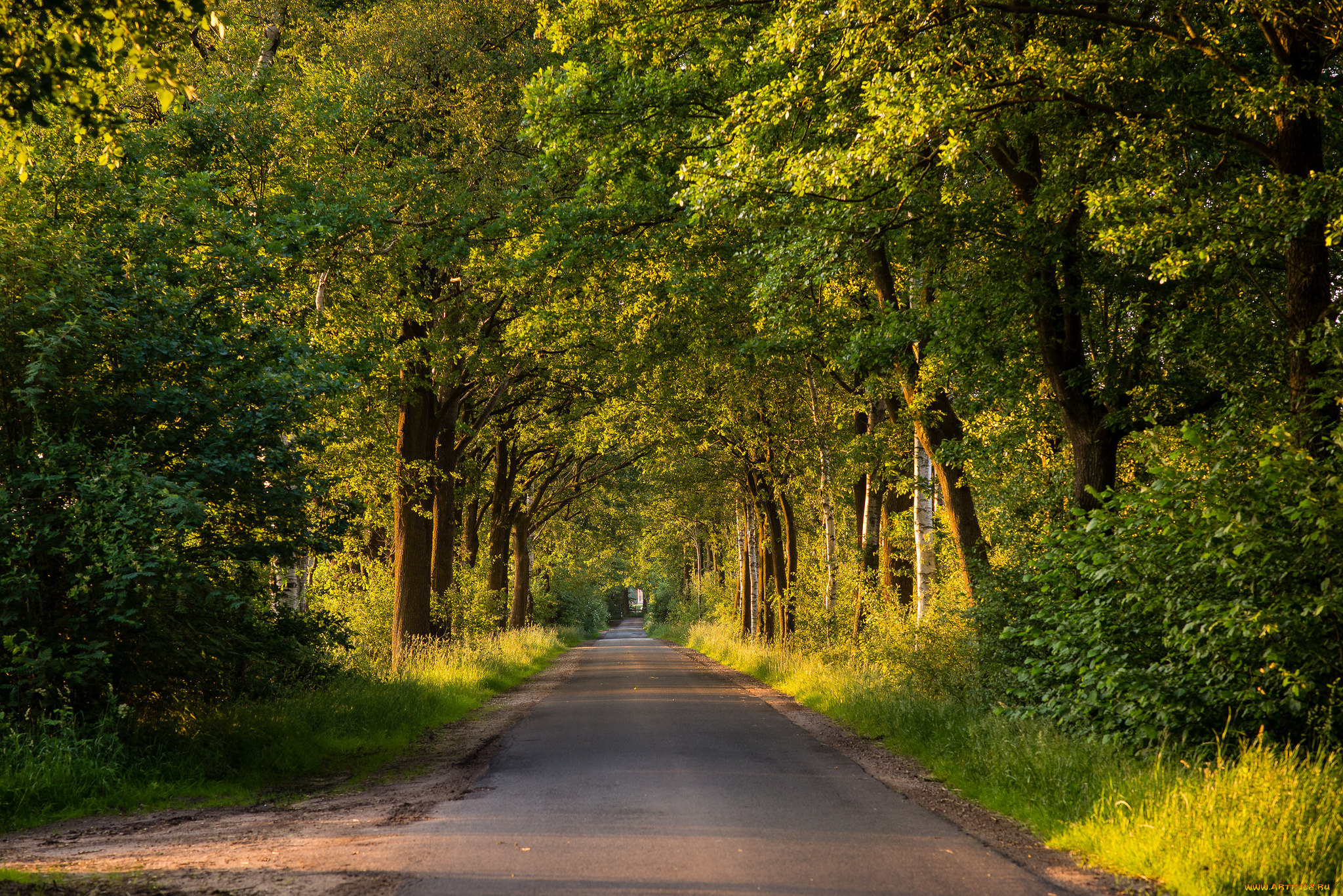 природа, дороги, тракт