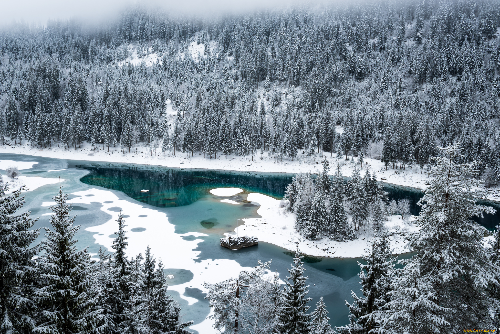 природа, реки, озера, лес, река