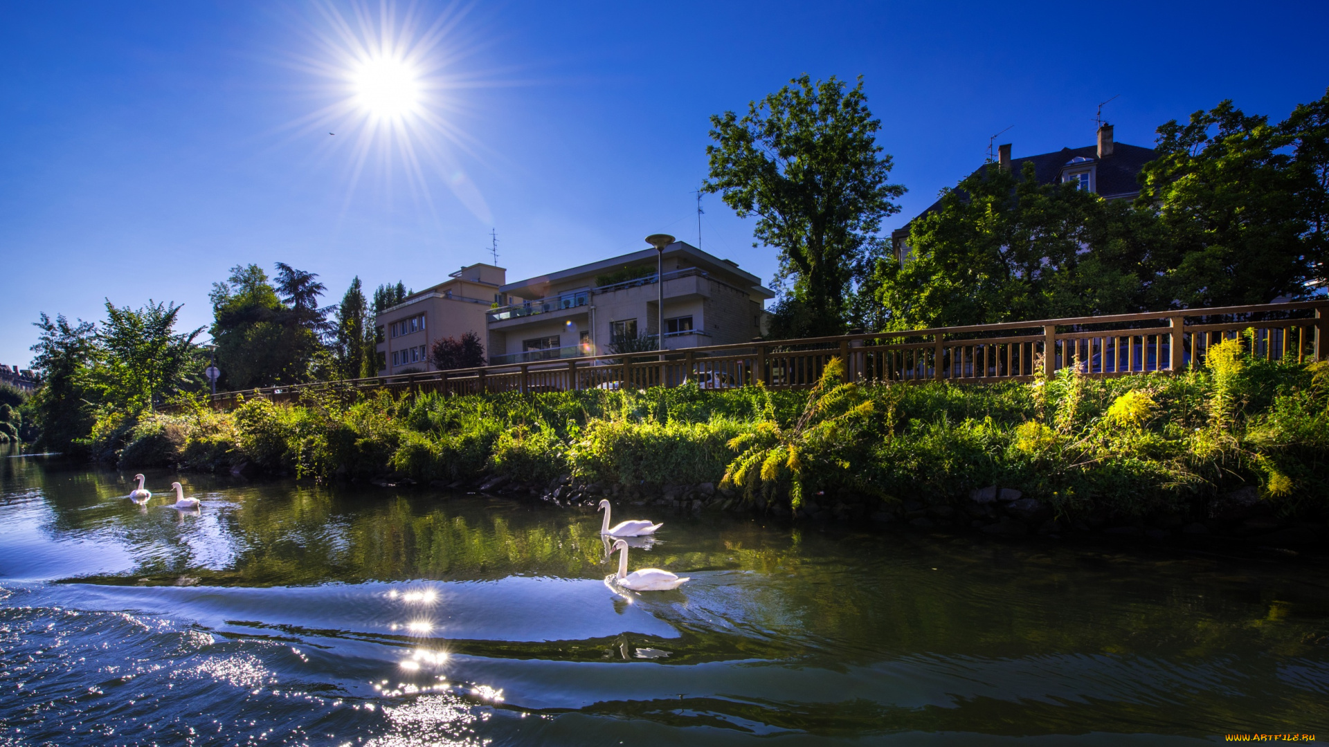 франция, города, -, улицы, , площади, , набережные, лебеди, водоем, солнце, здания, деревья