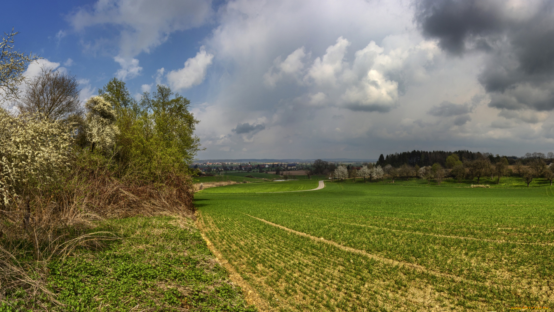 германия, природа, поля, пейзаж, дорога, облака, деревья