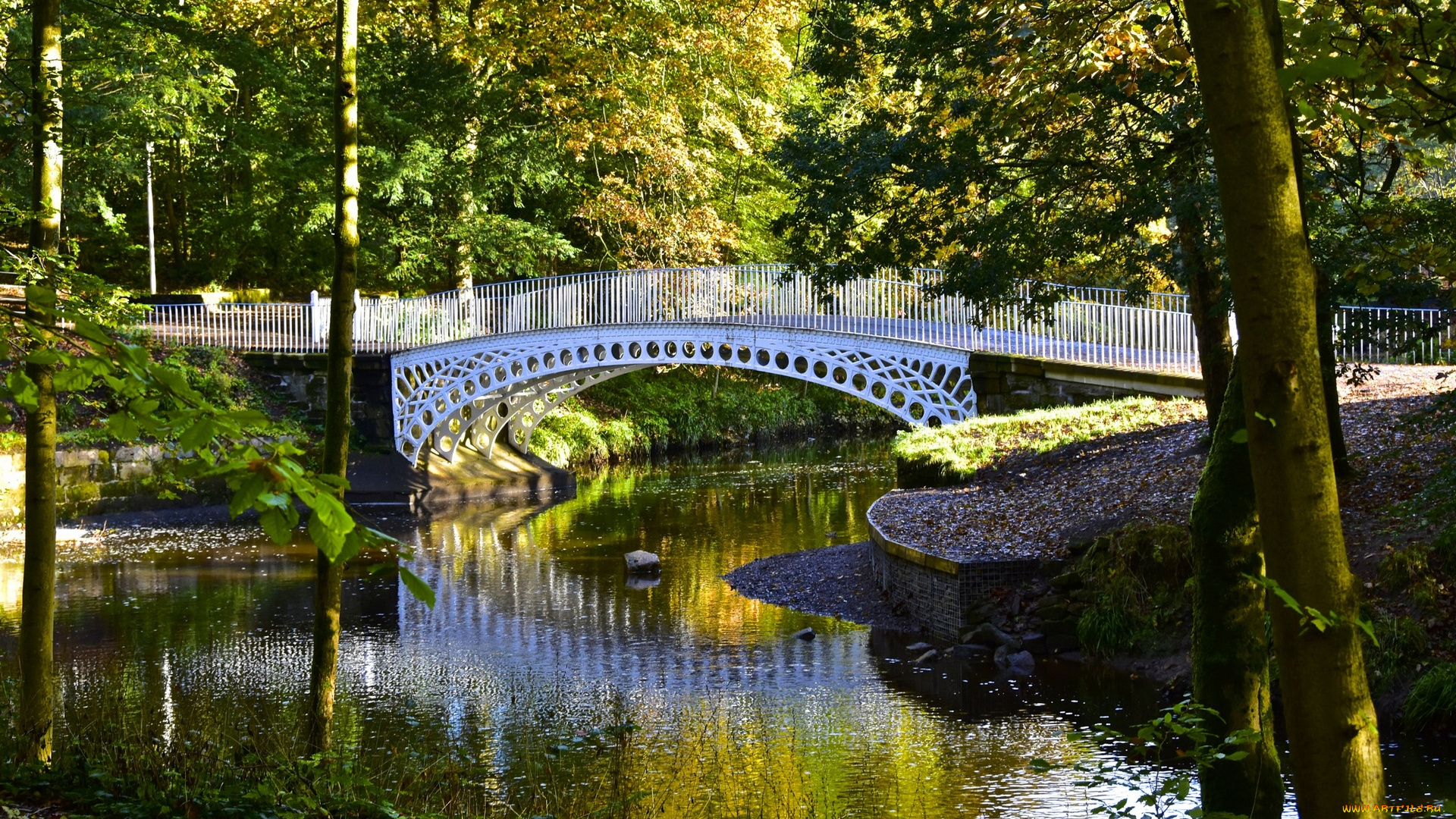 города, -, мосты, водоем, деревья