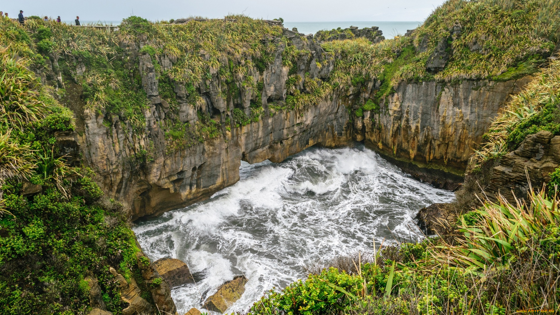 новая, зеландия, природа, побережье, водоем, трава, камни