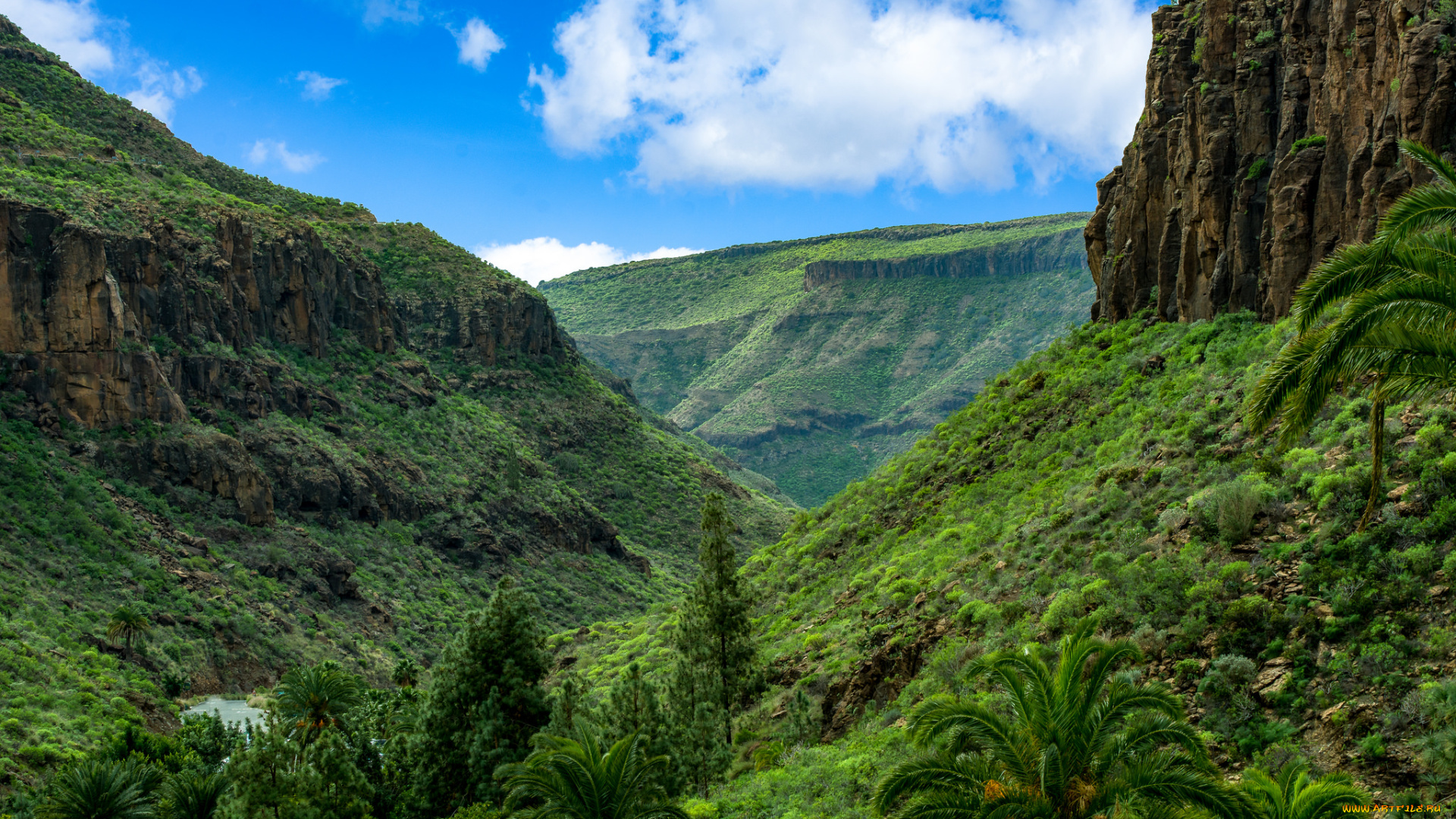 природа, горы, простор