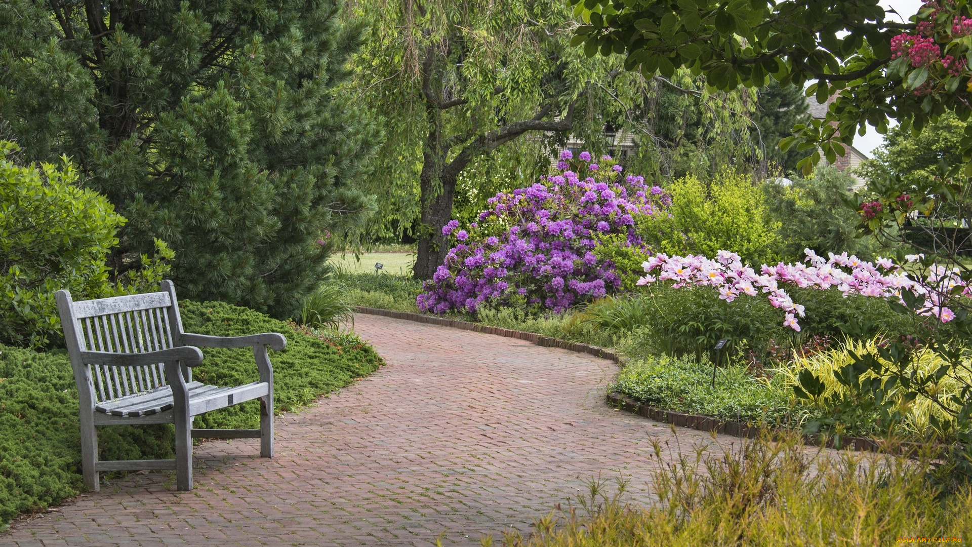 природа, парк, цветы, дорожка, скамейка, деревья