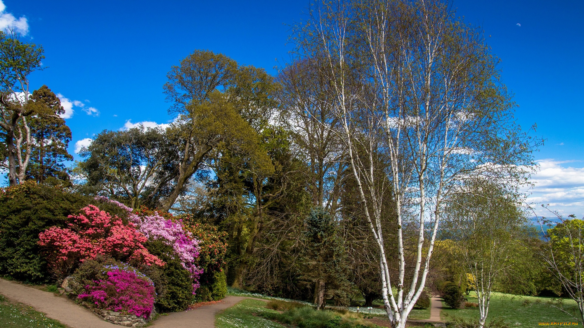 природа, парк, облака, трава, деревья, кустарники