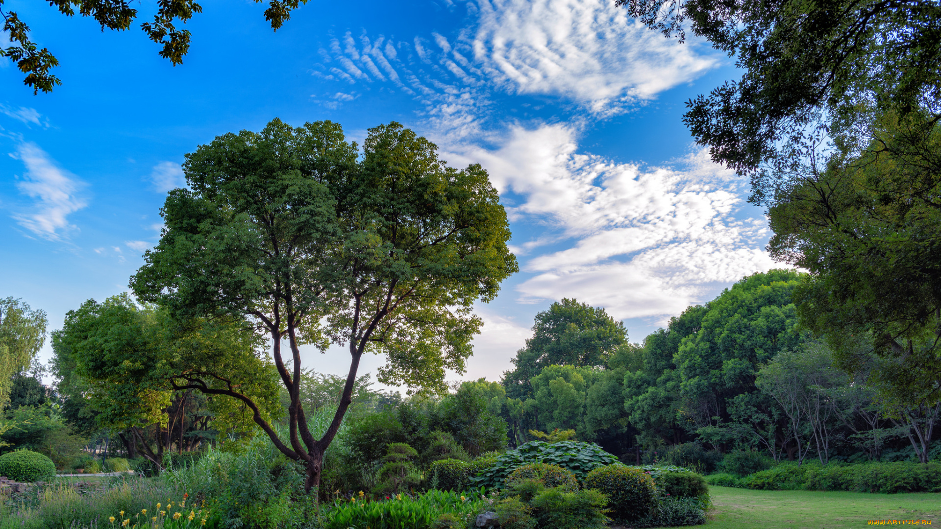 природа, пейзажи, простор