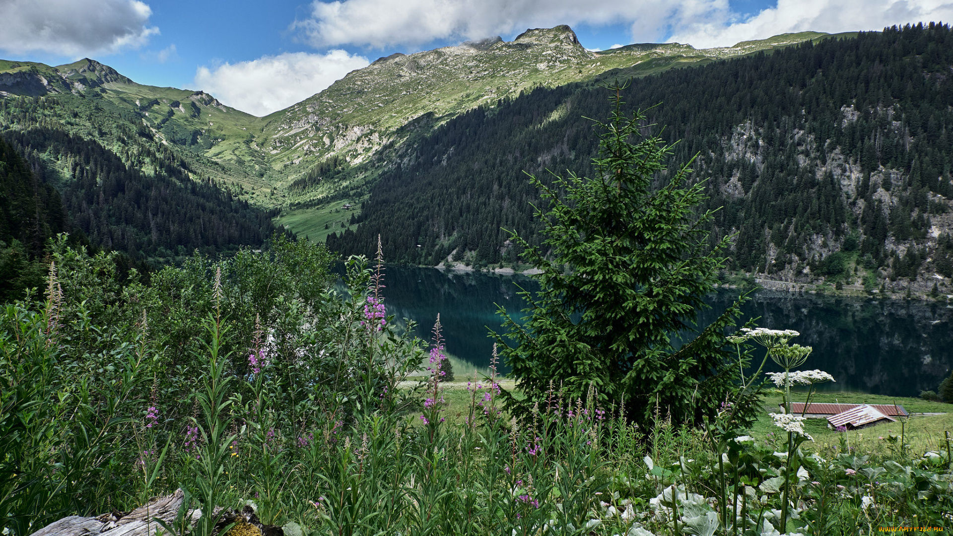 природа, реки, озера, простор