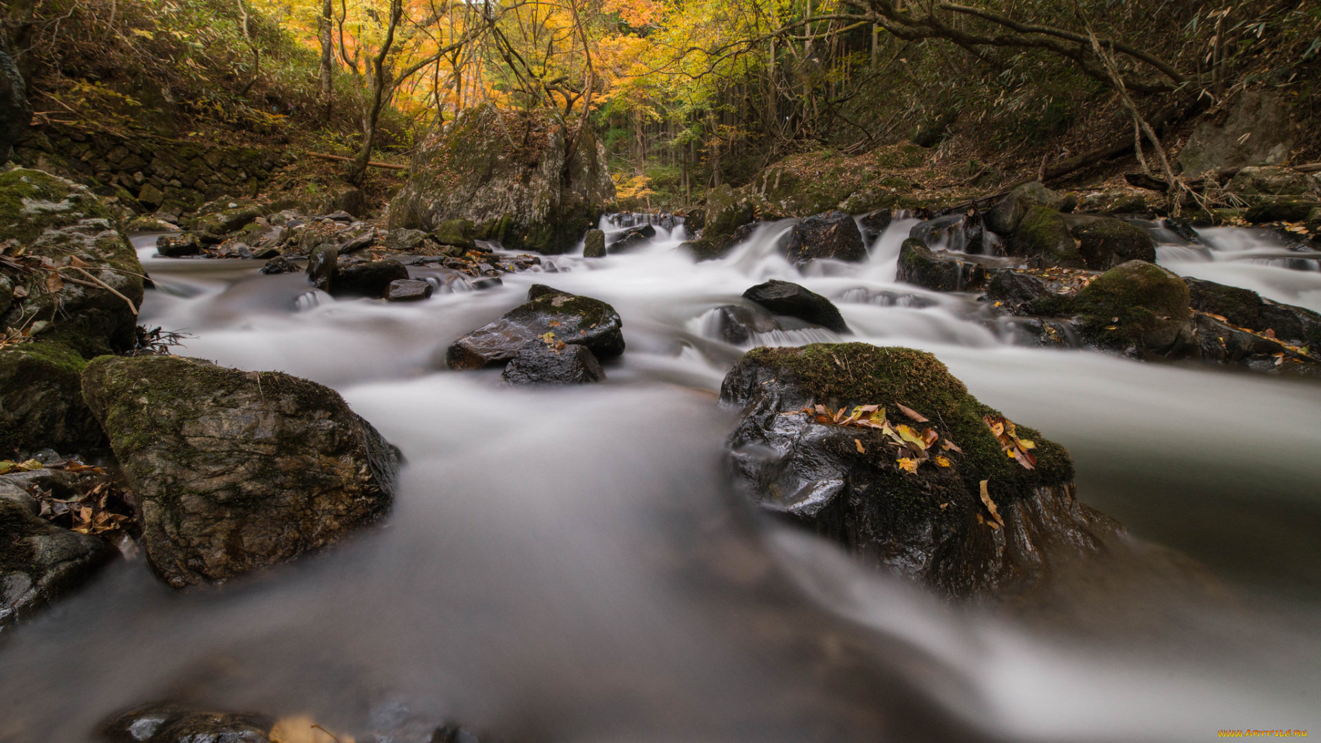 природа, реки, озера, вода, l, water, stream, waterfall, листья, осень, поток, водопад