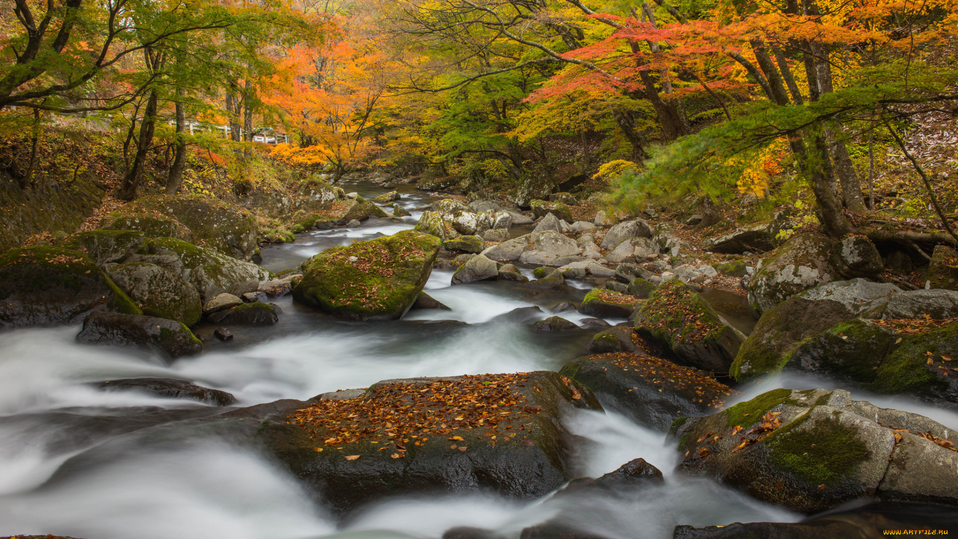 природа, реки, озера, waterfall, осень, l, stream, water, листья, вода, поток, водопад