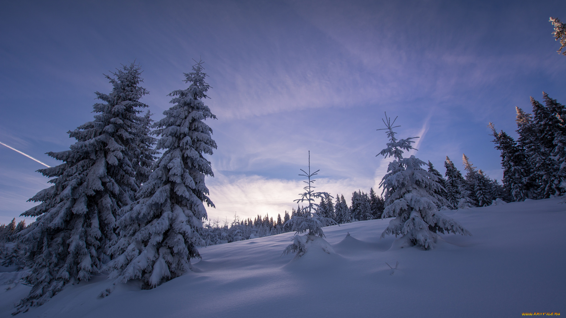 природа, зима, простор