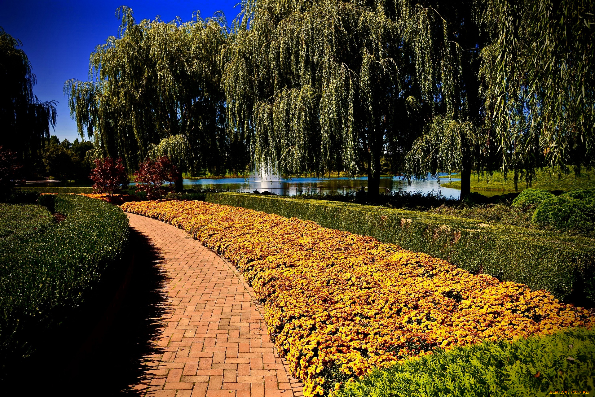 природа, парк, водоем, цветы, деревья, кустарники