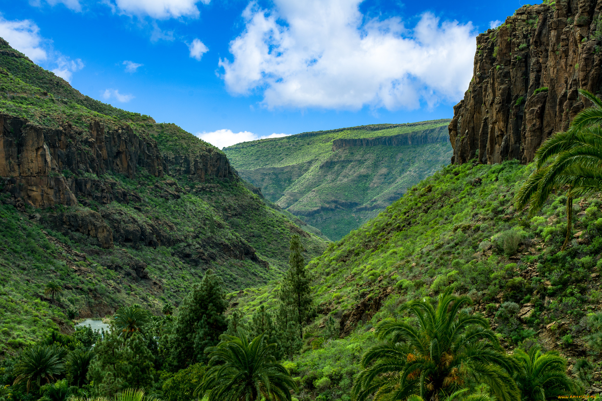 природа, горы, простор