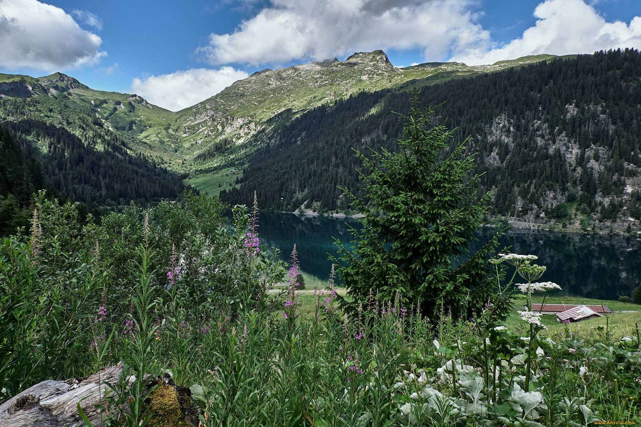 природа, реки, озера, простор