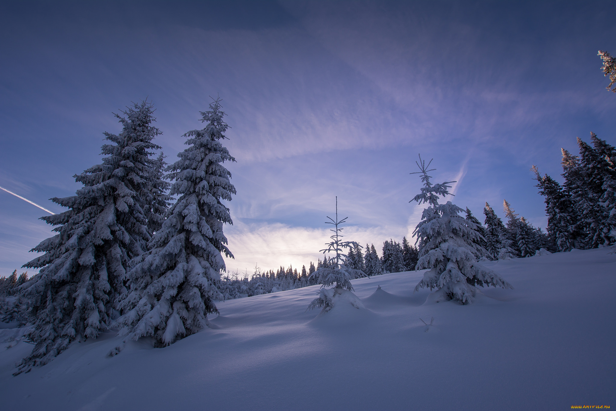 природа, зима, простор