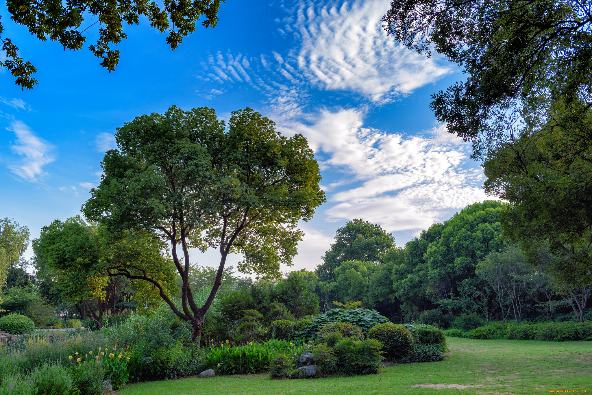 природа, пейзажи, простор