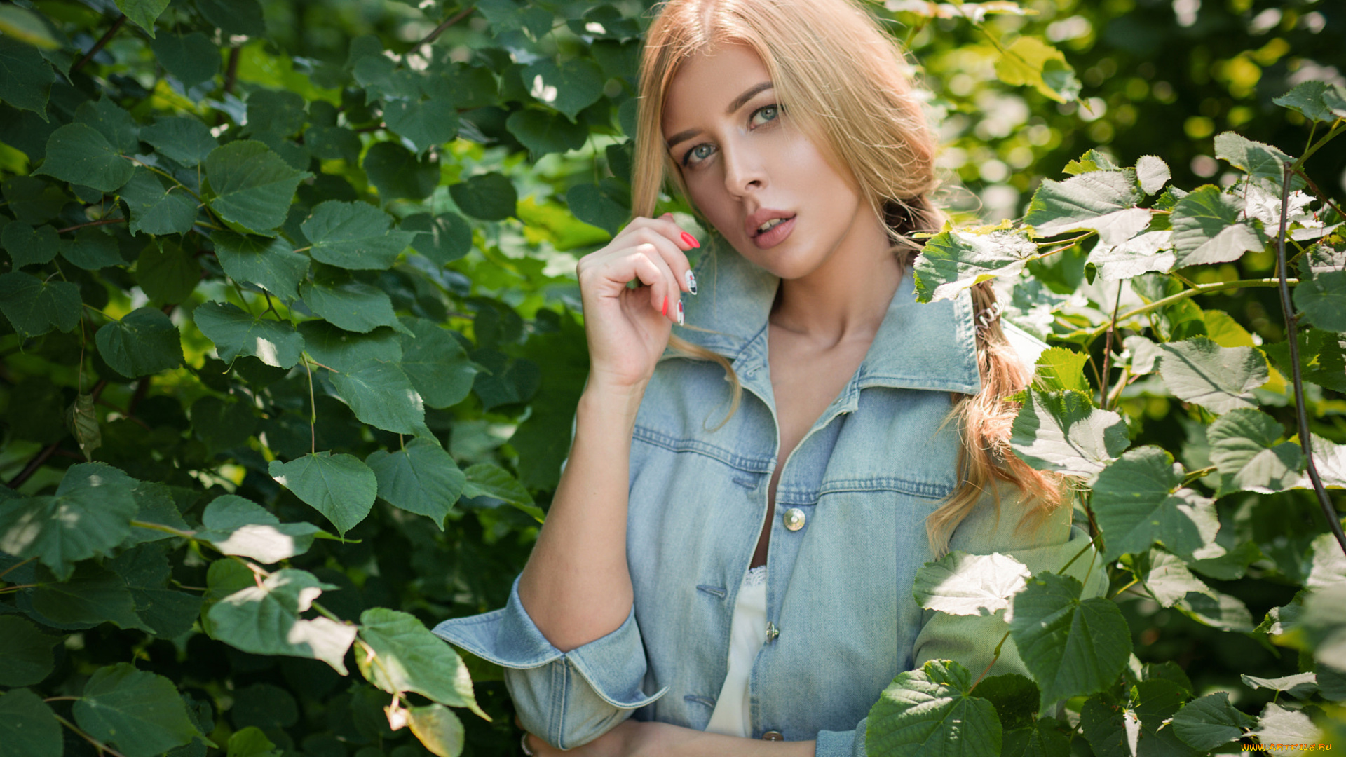 девушка, девушки, -unsort, , блондинки, , светловолосые, модель