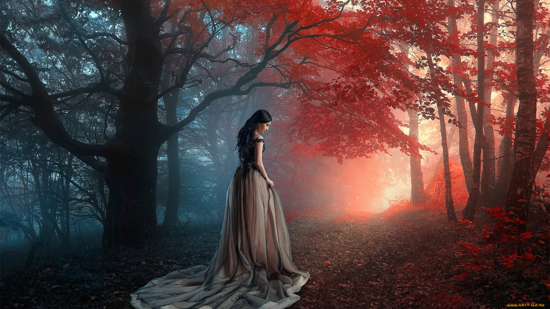 девушки, -unsort, , брюнетки, темноволосые, ренат, хисматулин, деревья, девушка, осень, платье, лес, настроение