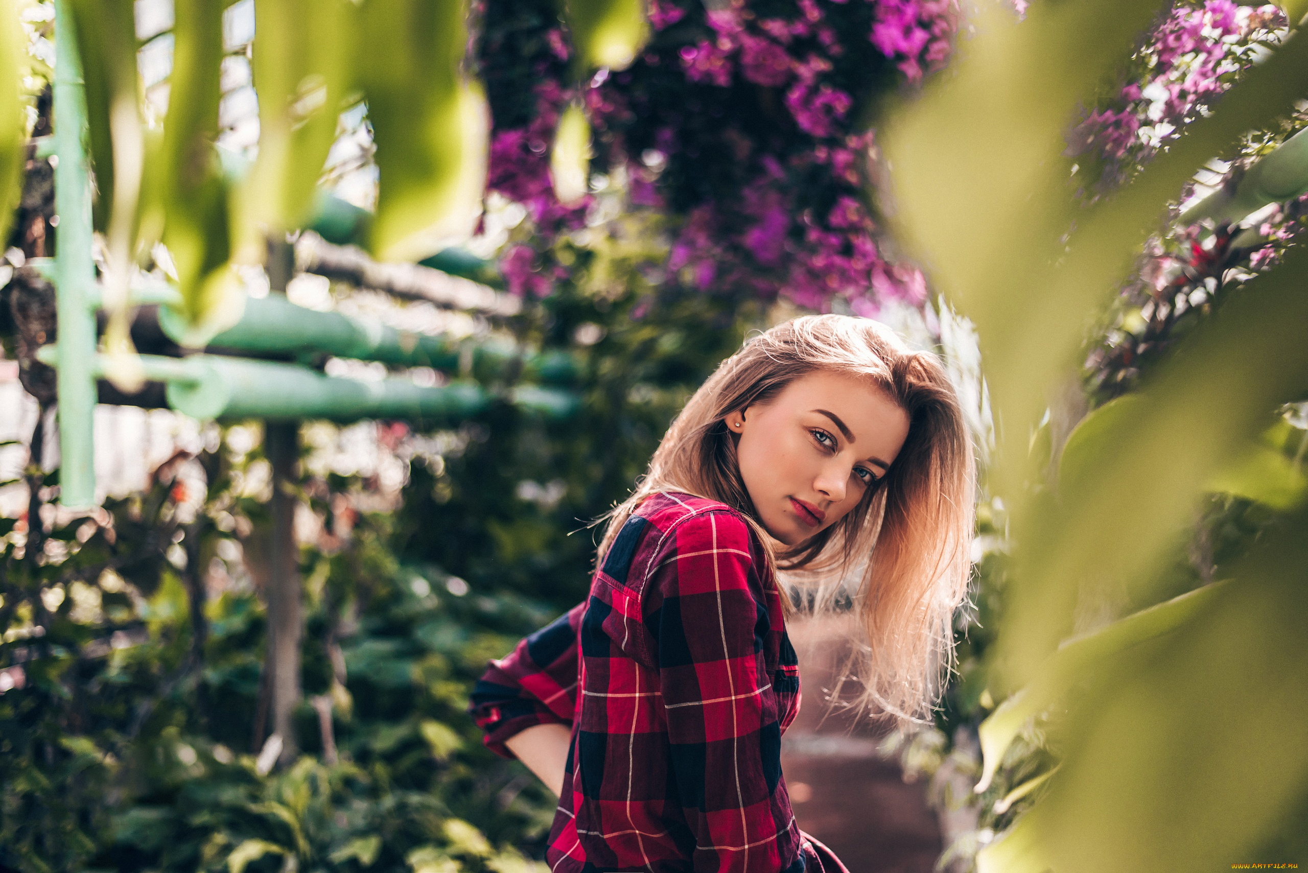 девушка, девушки, -unsort, , блондинки, , светловолосые, модель