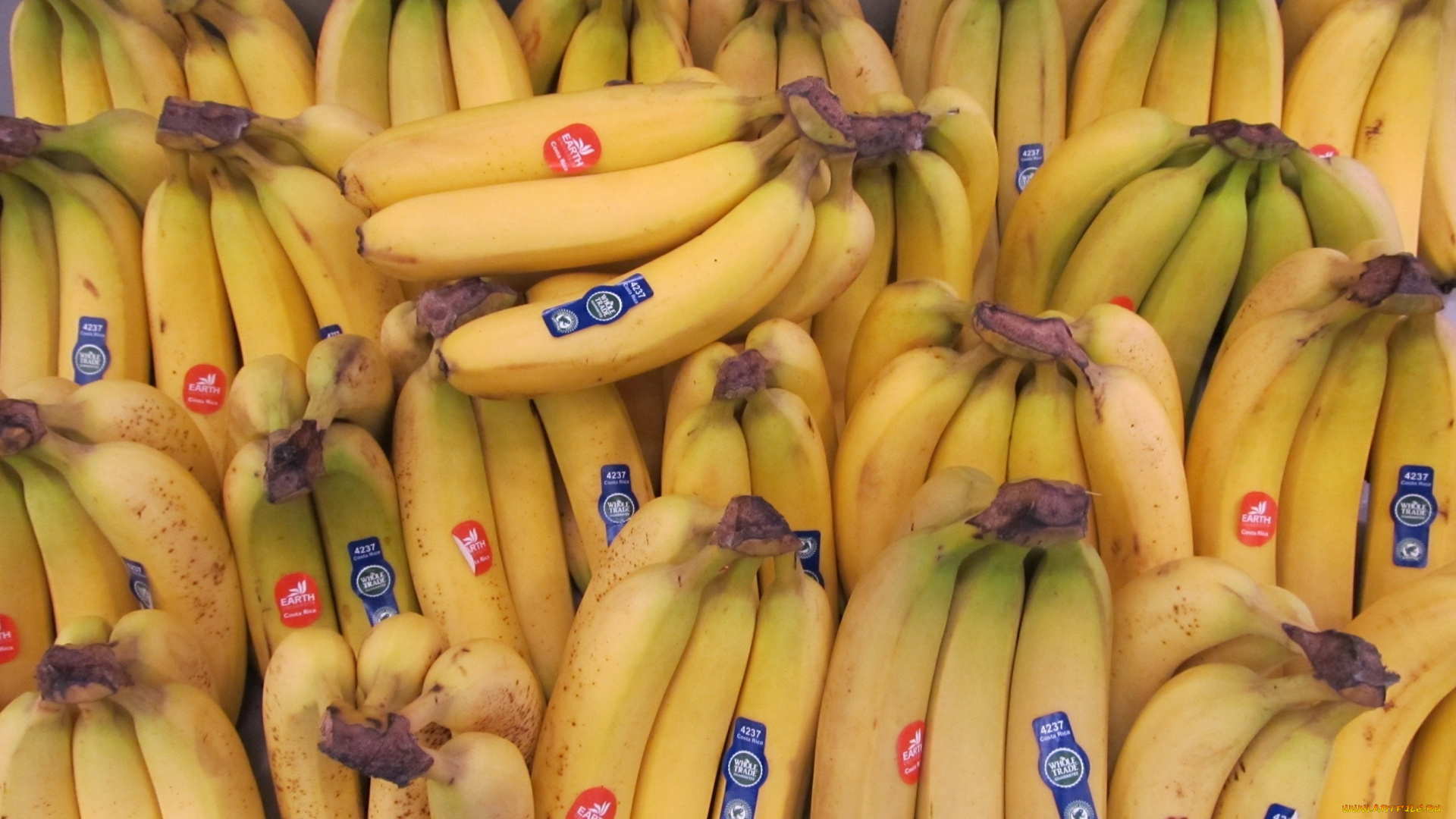 еда, бананы