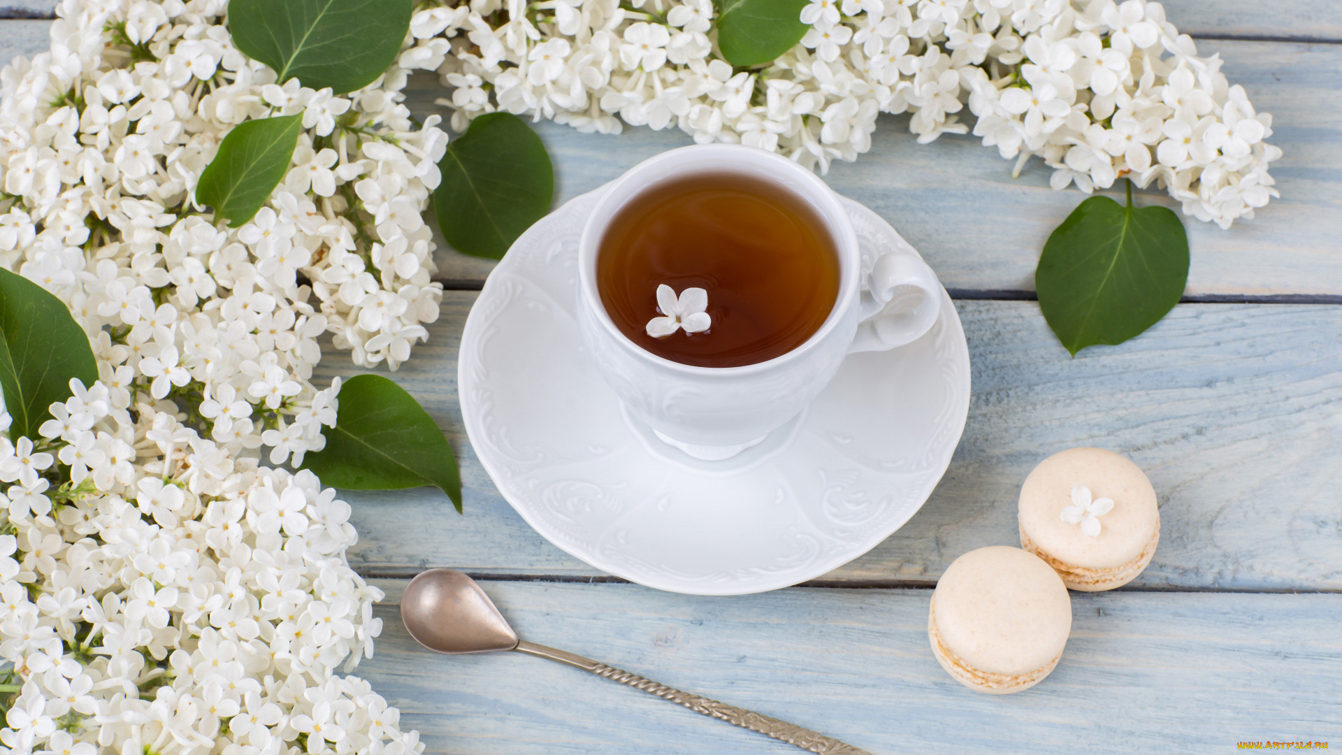 еда, напитки, , чай, чашка, чай, макаруны, сирень