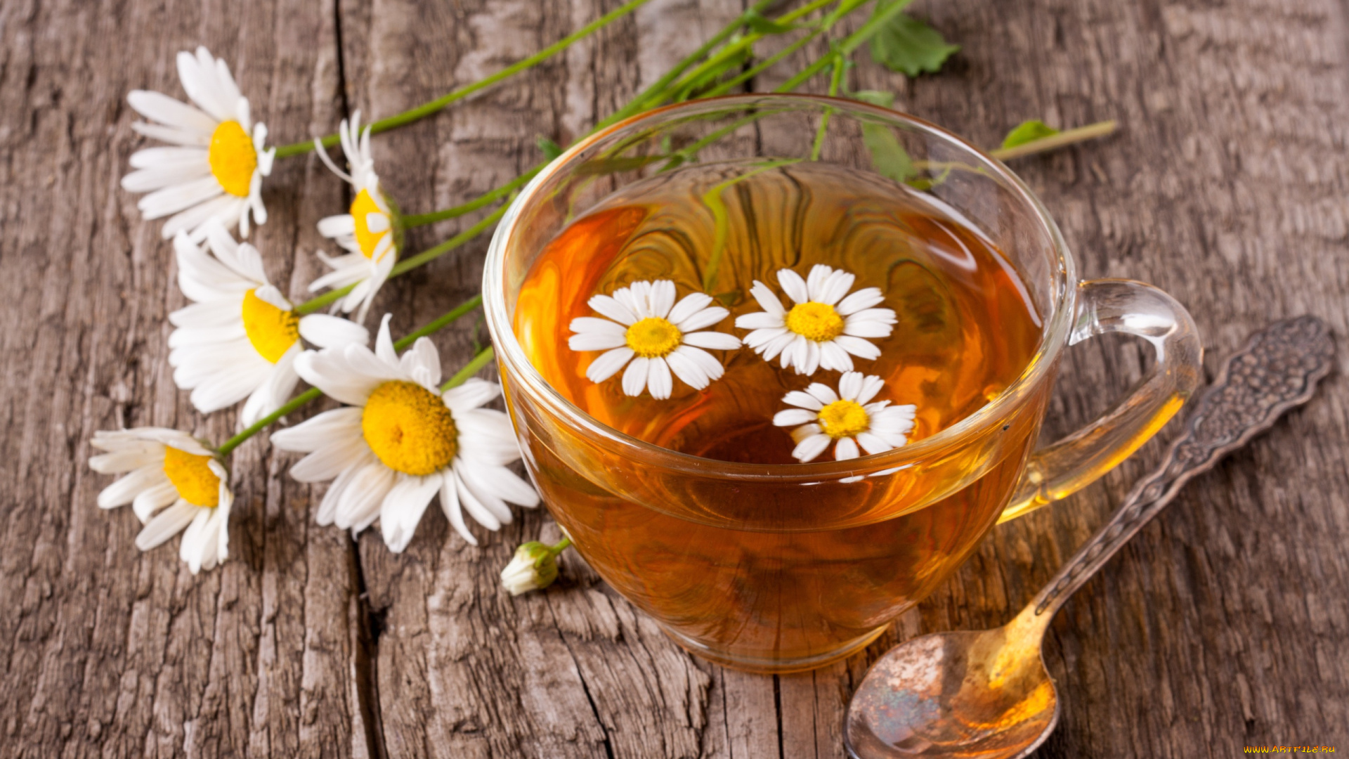 еда, напитки, , чай, ложка, чашка, чай, ромашки, цветы