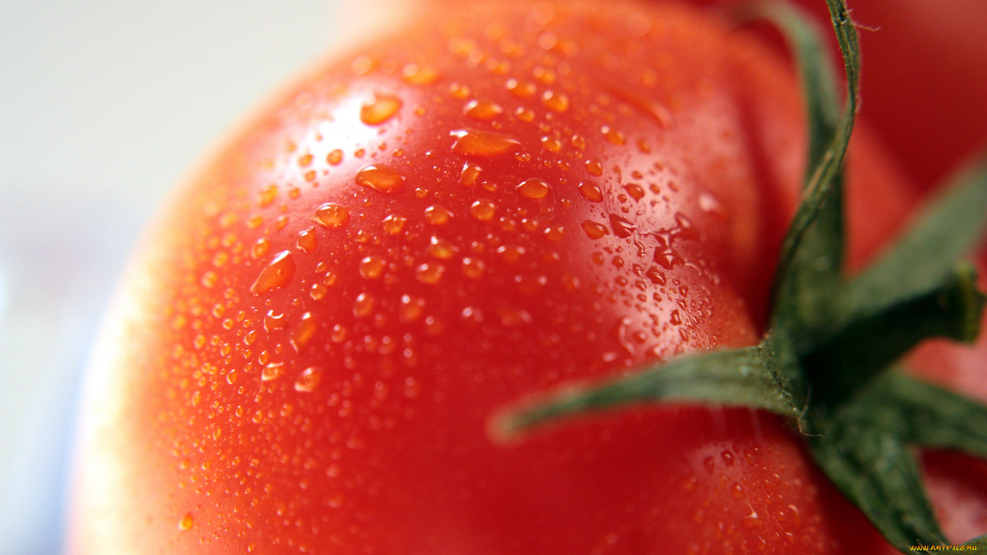 еда, помидоры, помидор