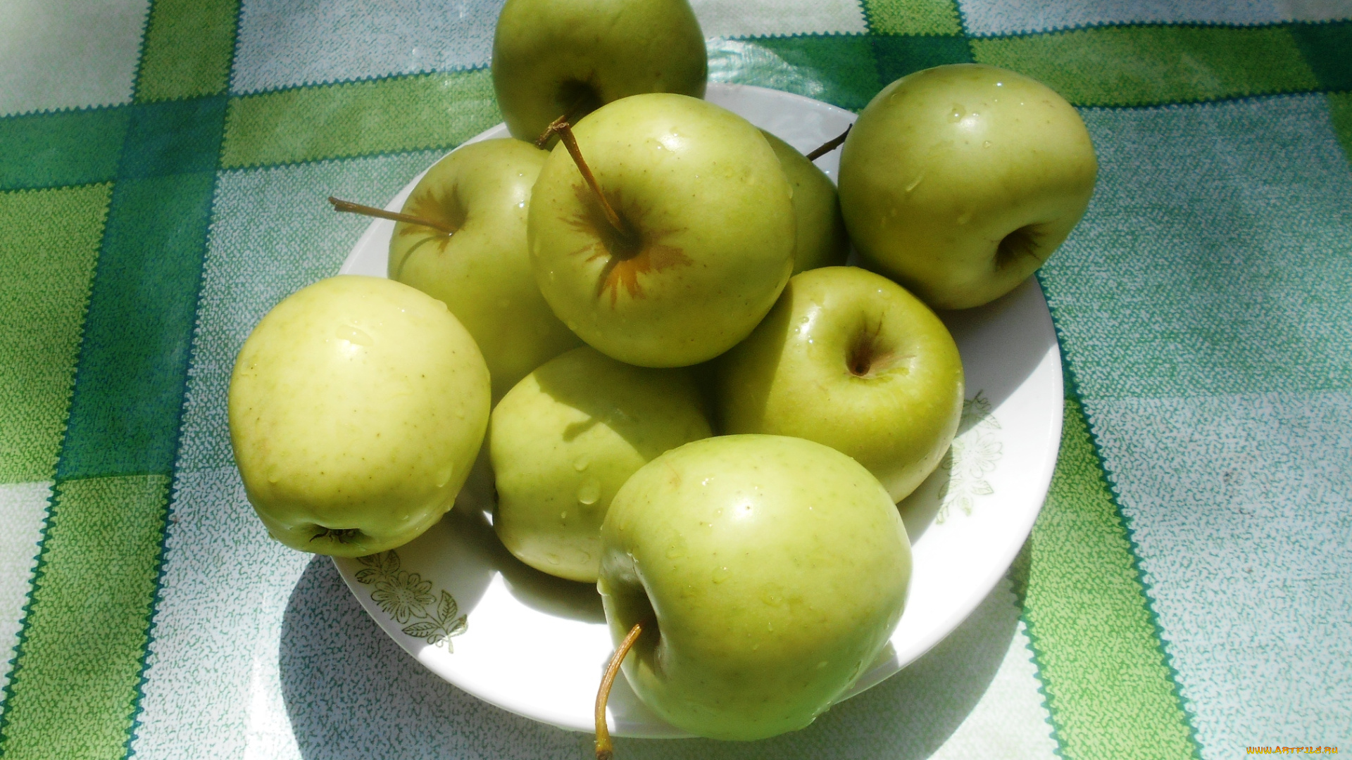 еда, яблоки