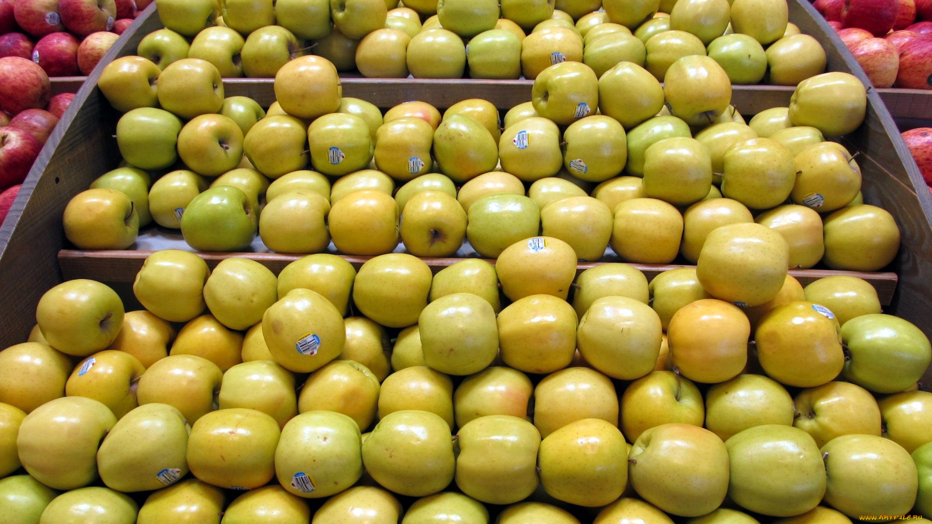 еда, яблоки, урожай