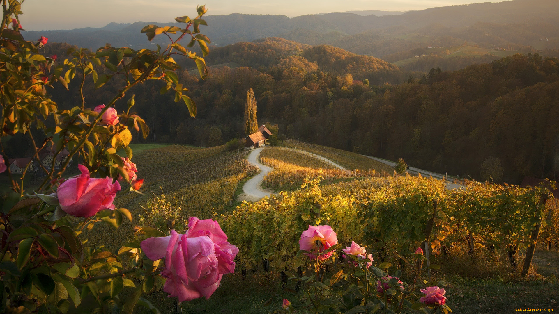 города, -, пейзажи, розы, дом, горы