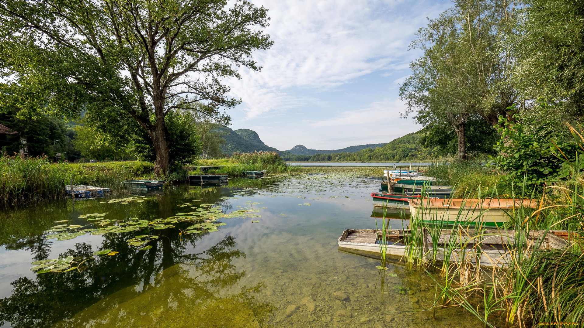 корабли, лодки, , шлюпки, заводь, река, лето