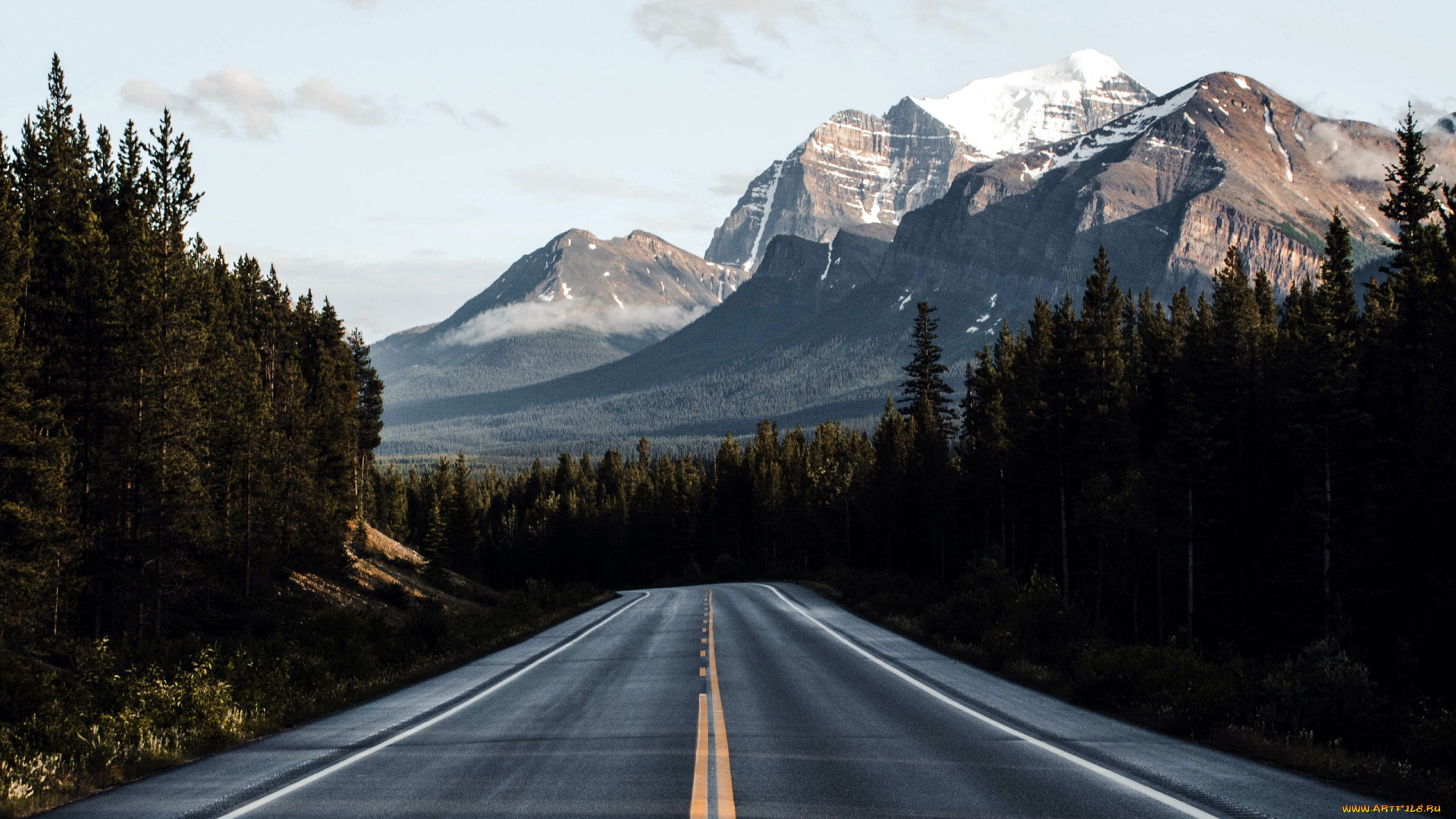 природа, дороги, шоссе