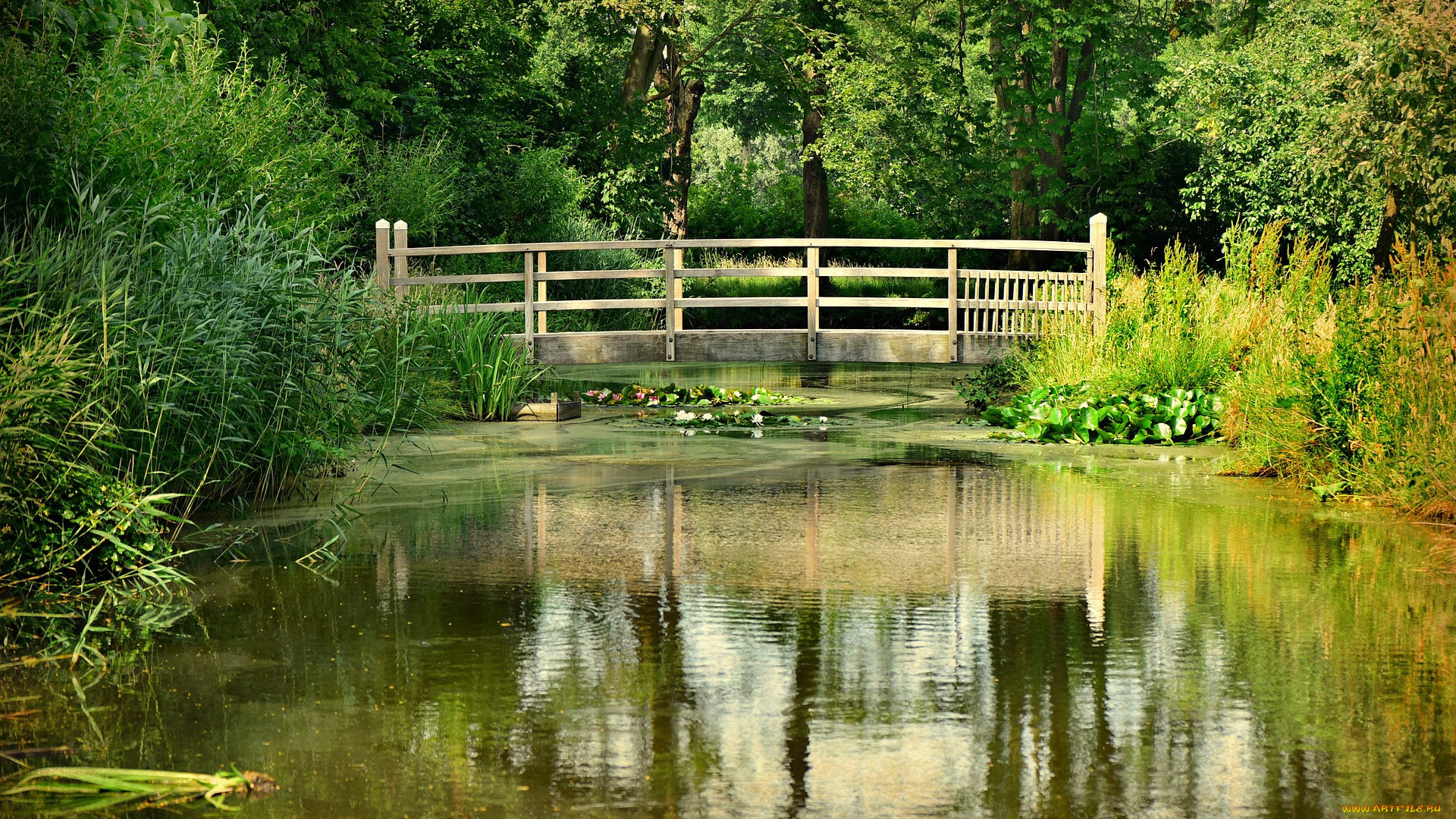 природа, парк, мостик, пруд