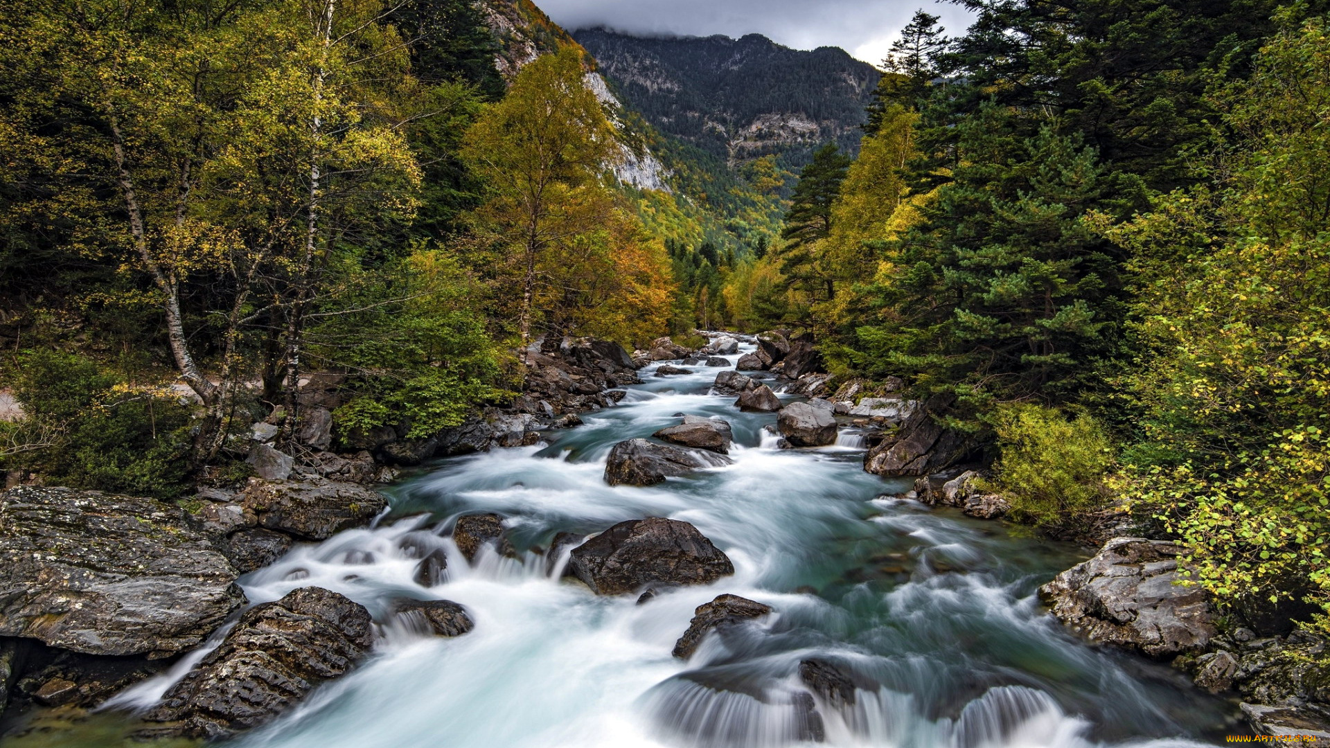 природа, реки, озера, горная, поток, река