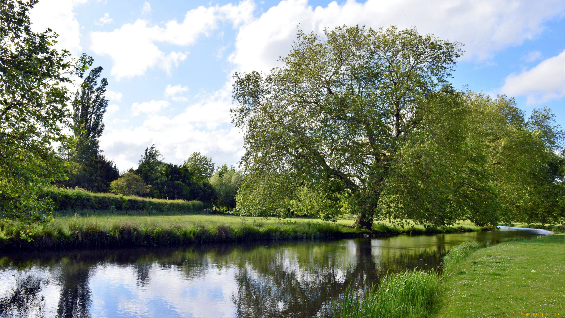 природа, реки, озера, лето, река