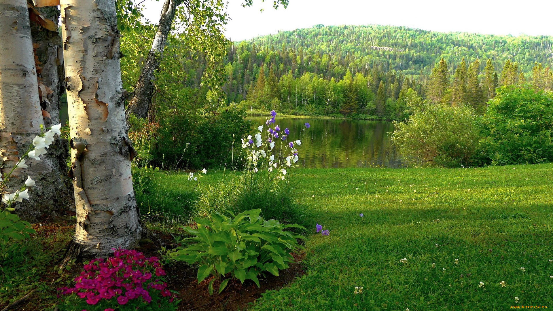 природа, реки, озера, озеро