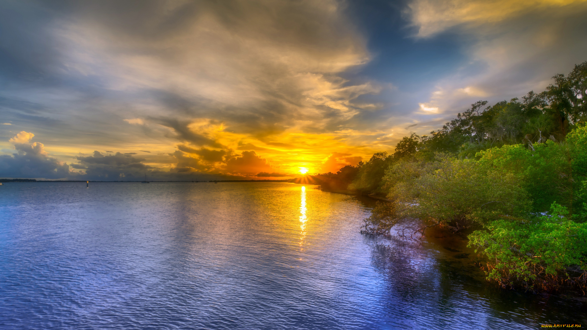 природа, восходы, закаты, берег, закат, лето