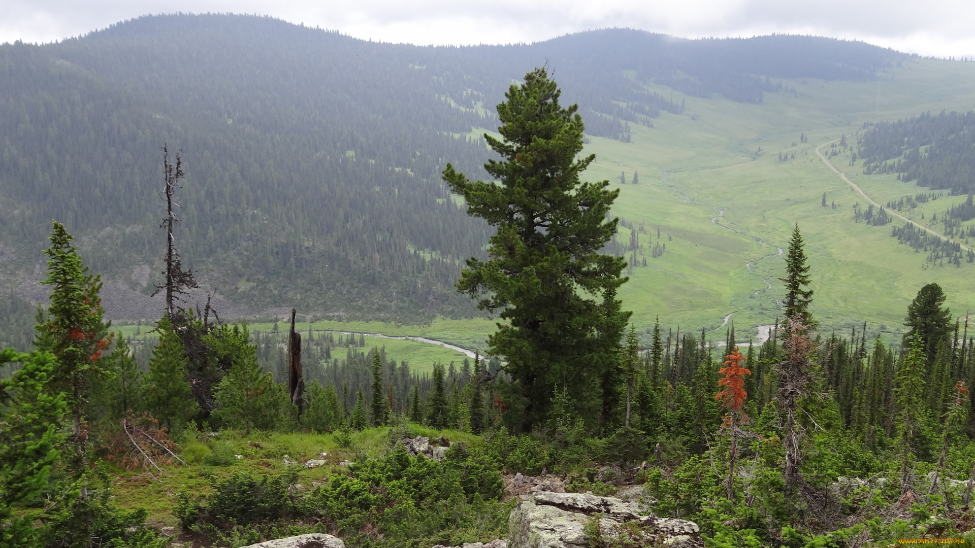 природный, парк, ергаки, природа, горы, ергаки, деревья, россия, природный, парк, сибирь