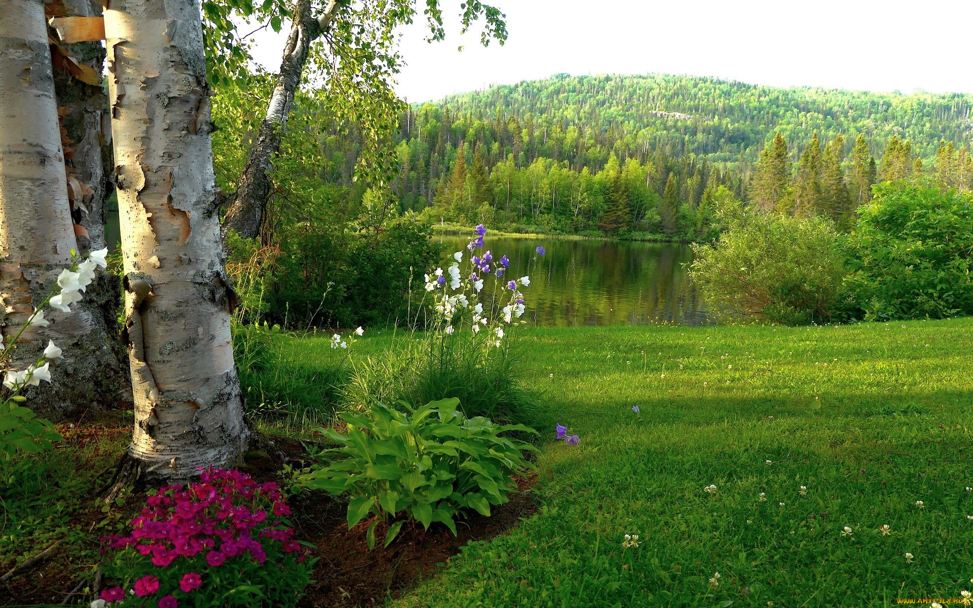 природа, реки, озера, озеро