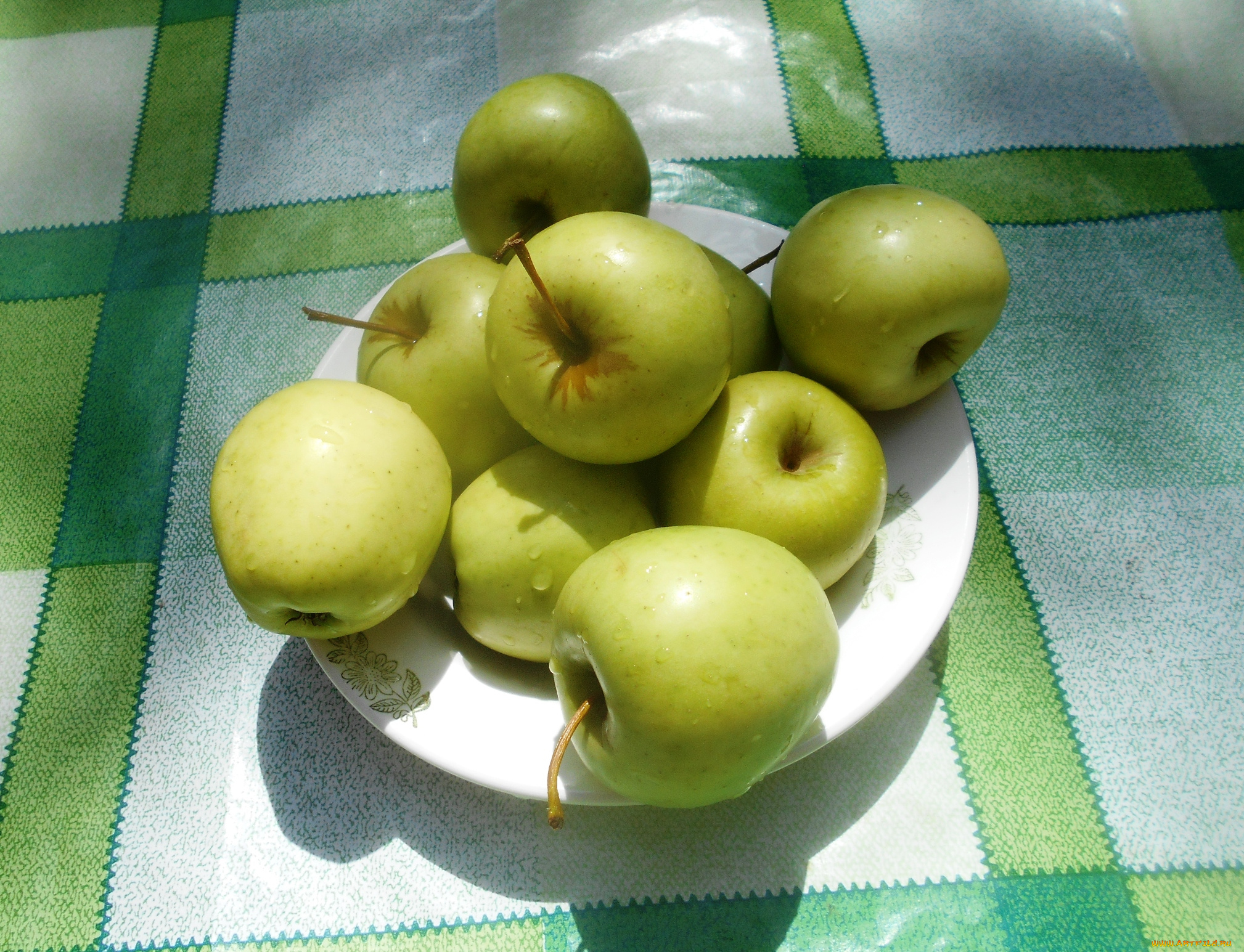 еда, яблоки