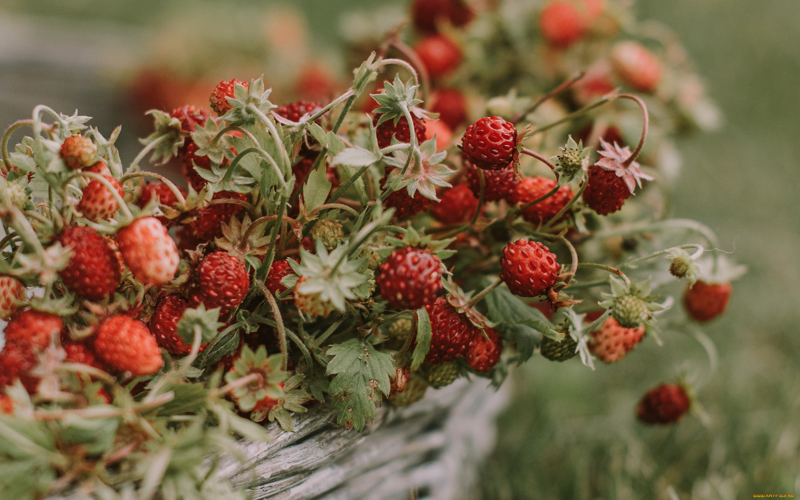 еда, клубника, , земляника, земляника